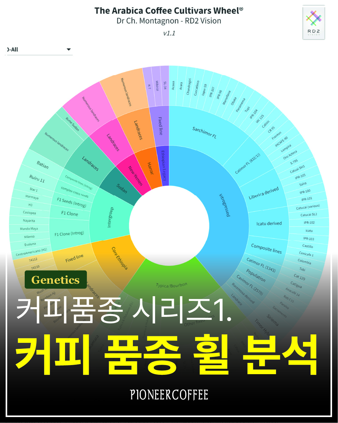 커피 품종 시리즈 1. 커피 품종 휠 분석