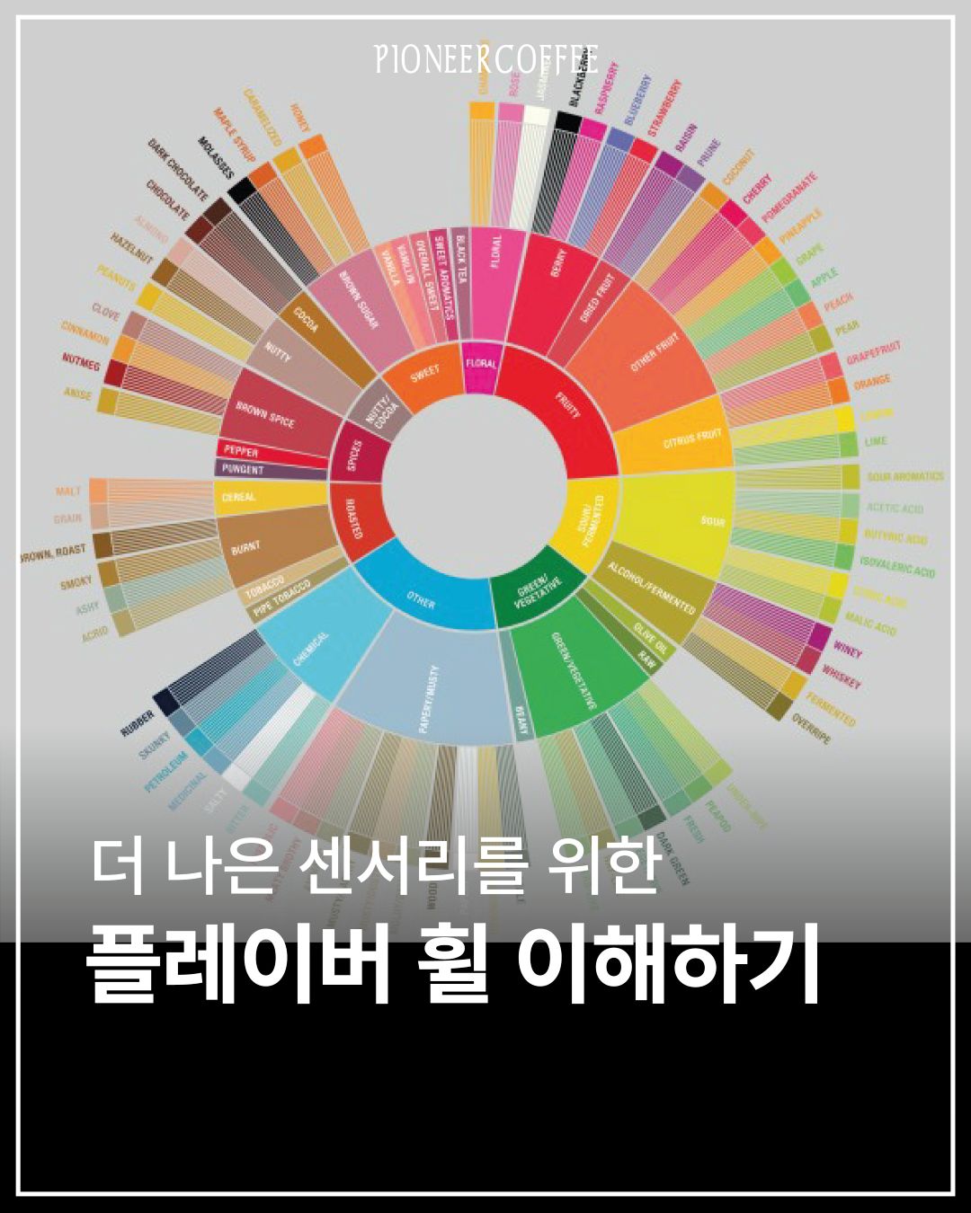 플레이버 휠 이해하기