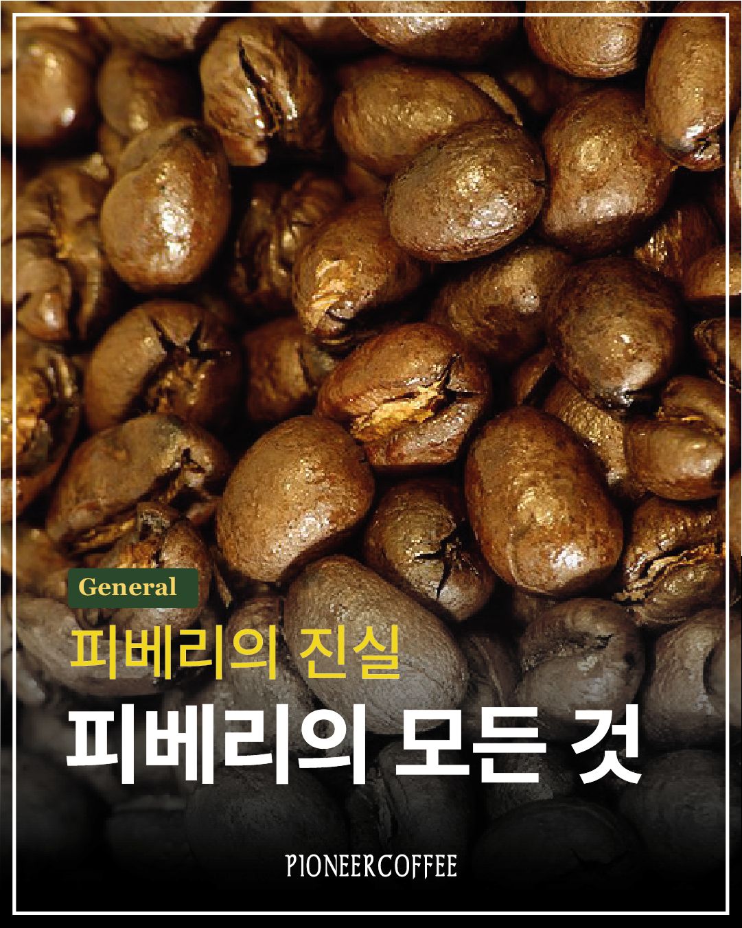 피베리의 모든 것