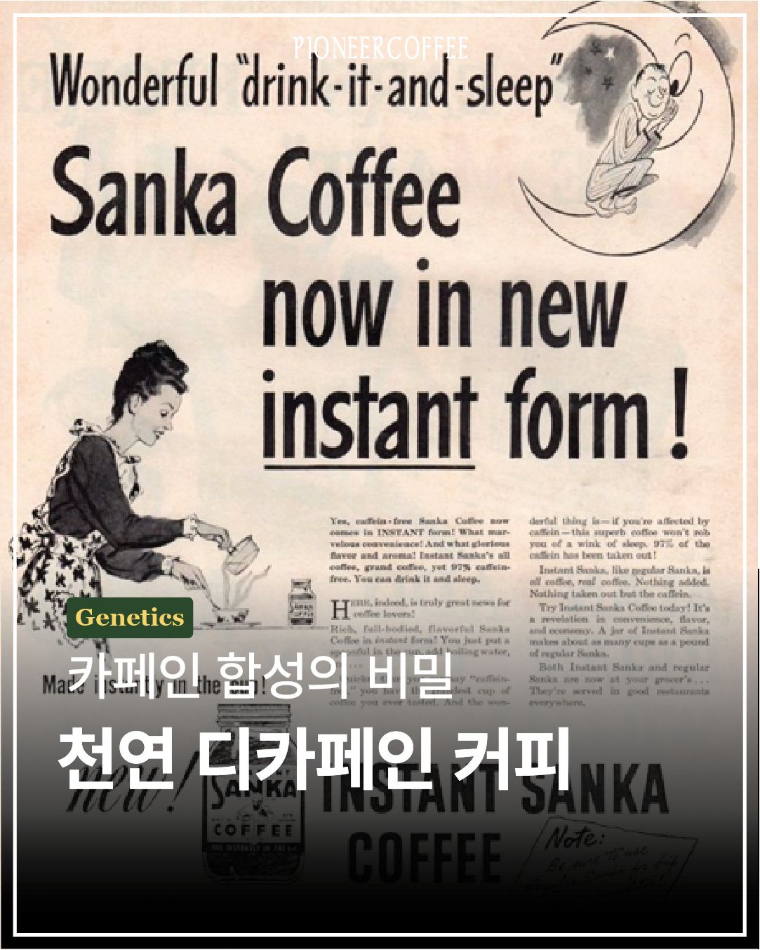 카페인 합성의 비밀
